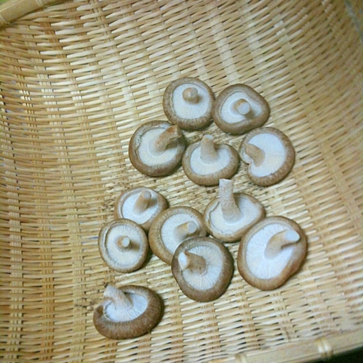 干し椎茸の作り方 レシピ 作り方 By Maria S Room 楽天レシピ